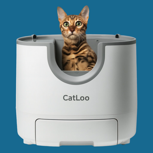 CatLoo✨ Die Zukunft der Katzentoilette – Luxus, den Ihre Katze verdient